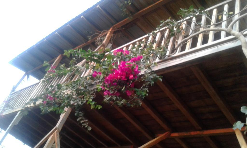 Maremonti Bed & Breakfast Puerto López Extérieur photo